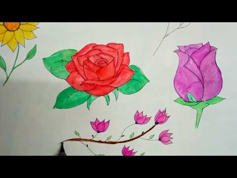 How to draw different types of flowers easily 🌹 - YouTube