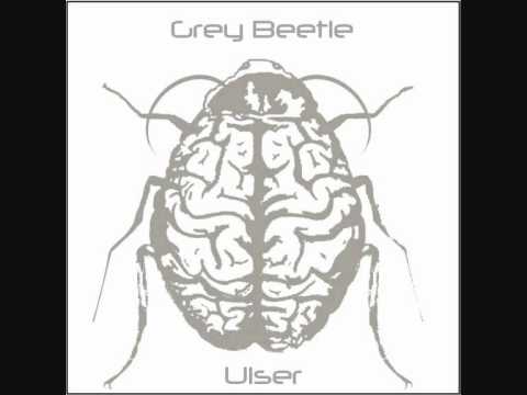 Ulser - Grey Beetle