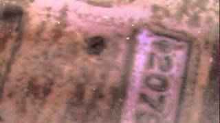 Eno &amp; The Winkies - Peel Session 1974 - Baby&#39;s on Fire