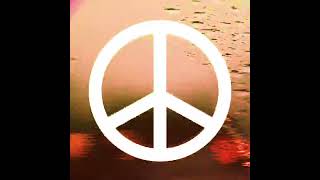 TheSillyDJ - Peace