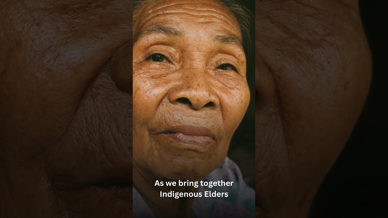 IAUS399: Indigenous Astronomy in the Space Age