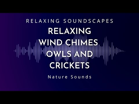 Relaxing Wind Chimes Owls and Crickets for Sleeping in Dark Screen