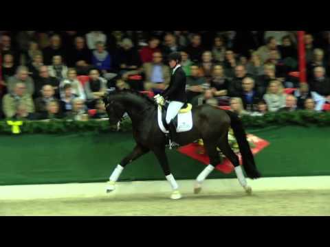 Dressurleistungszentrum Lodbergen 2015 For Romance