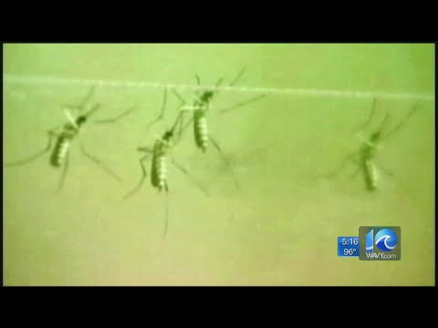 CDC: Insect bite illnesses have tripled in last 13 years