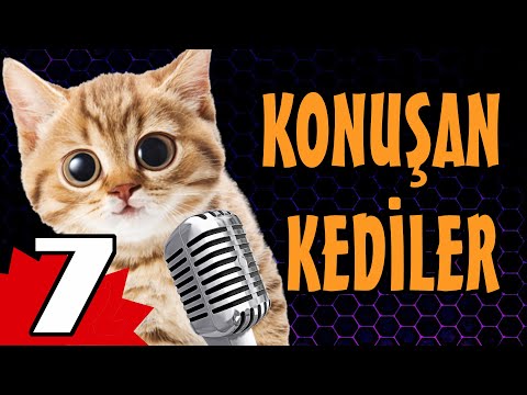 Konuşan Kediler 7 - En Komik Kedi Videoları