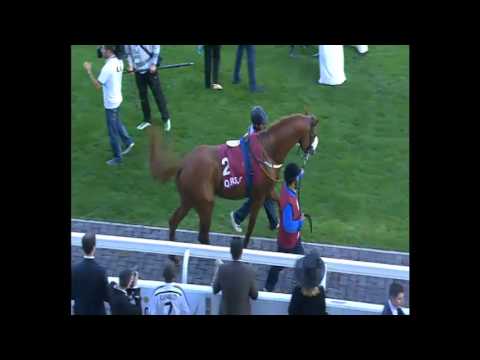 HH The Emir's Race Day