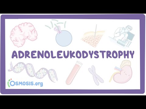 Adrenoleukodystrophy - causes, symptoms, diagnosis, treatment, pathology