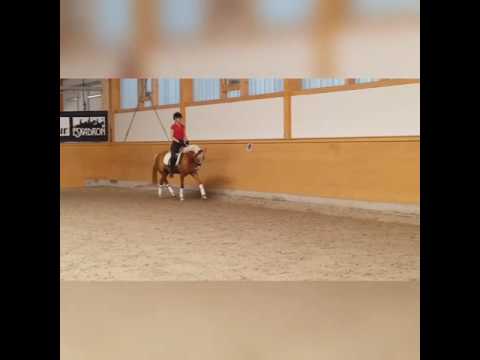 Die Goldmarie *2014 v. Danny Gold