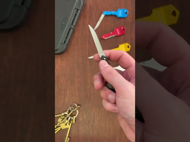 Vídeo relacionado con BEEK Mini navaja de bolsillo con hoja fija, cuchillo EDC con estuche, cuchillo pequeño de bolsillo, llavero de cuchillo, cuchillo de cuello, regalo para hombres