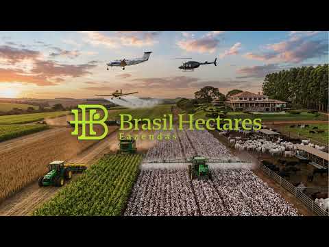 Fazenda Joia em Lagoa da Confusão - TO
