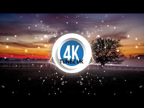 Dana Rayne - Object Of My Desire (2003) (4K Tunez UK)