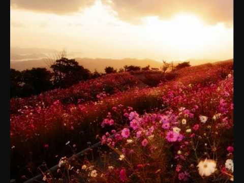 Agora Sei Senhor - José Carlos