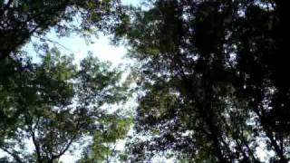 Kid Cudi - do it alone video
