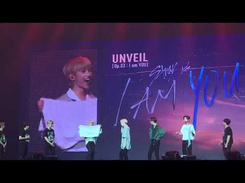 STRAY KIDS IN MOSCOW - Talking Part + Aegyo