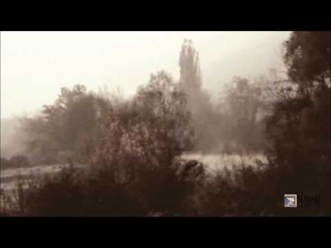 [ELSVREC025] Slavaki - Daydreaming