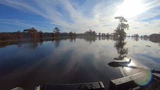 preview picture of video 'Early season duck hunting at Caddo Lake Texas.'