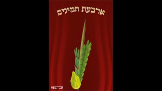 וכי בגלל שהלולב גבוה מכולם מברכים דווקא עליו?! ▪️ הרב נחמנסון ▪️ (י"ב תשרי תשפ"ה. כפר סבא)