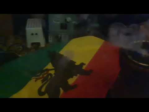 Dandelion Soundsystem @ Roots in the Woods festival 2023 playing a Digitron dubplate