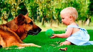 Собаки и дети, лучшие друзья | Часть 2|  Dogs and Baby, the best video