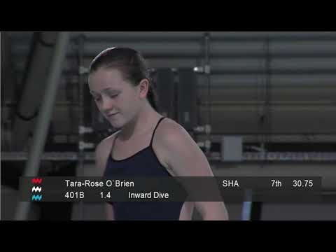 Girls B Platform preliminary - Eindhoven Diving Cup 2020