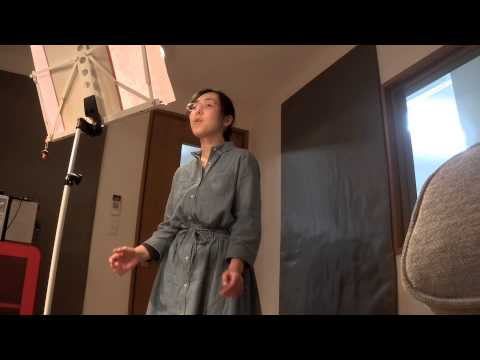 Always (feat. Jun. K of 2PM)-백아연(Baek A Yeon) (cover)