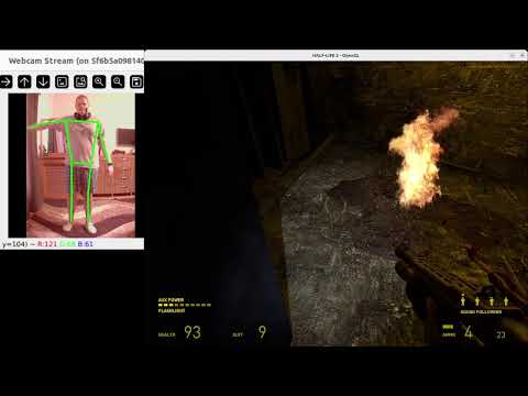 Play Half-Life 2 with body moves. Gaming and training