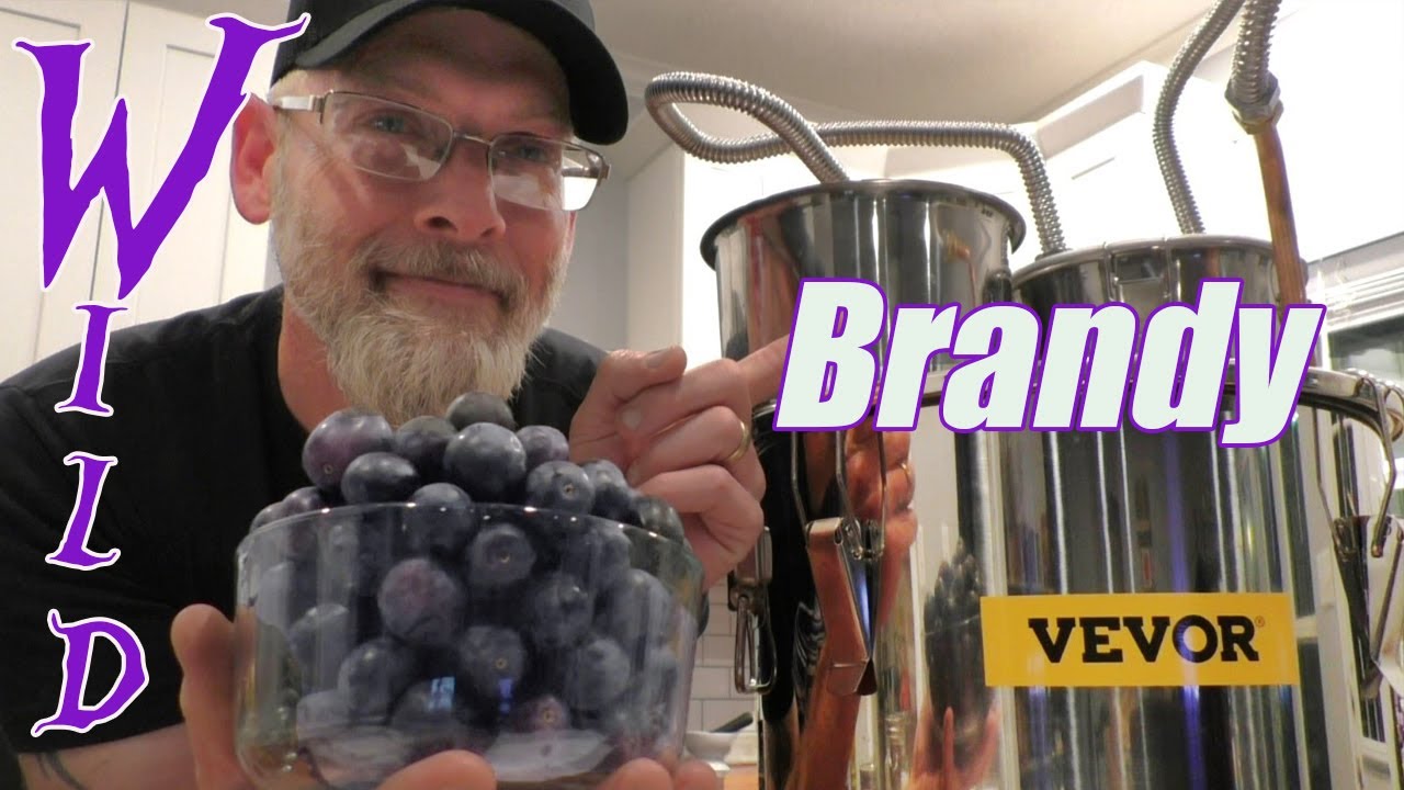 🍇Wild Muscadine Grape Brandy + VEVOR Pot Still REVIEW!