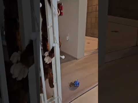 $1,400-Pet-Friendly Studio Loft for Rent at Broadway Park Lofts in Downtown Salt Lake City! property video