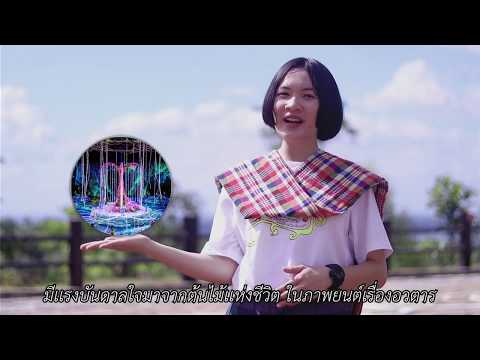 คลิกเพื่อดูคลิปวิดีโอ