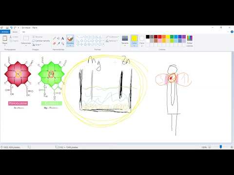 2016 11 13 PM Public Teaching in Spanish - Enseñanzas públicas en Español