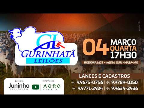 LEILÃO DE CORTE - GURINHATÃ LEILÕES 04/03/2026 - AGROREMATE