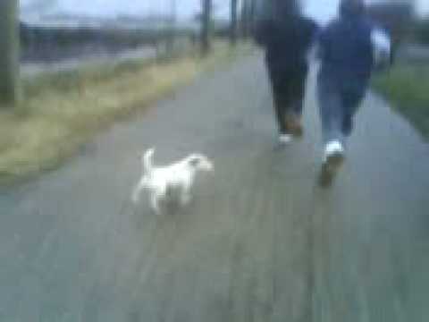 Terheijden B1 - hardlopen