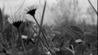 Ivano Fossati - Baci e Saluti