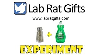 Gift Guide for Scientists