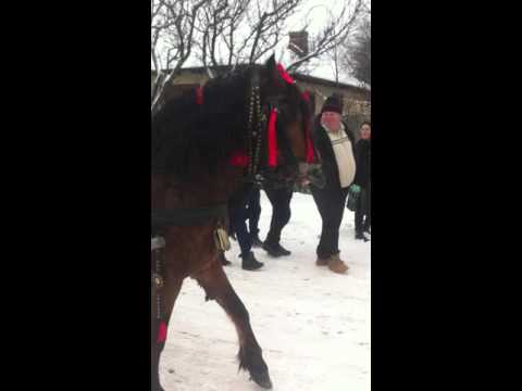 Boboteaza2016 Vadu-Parului (Daiana) #2