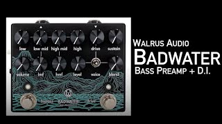Video thumbnail for Walrus Audio Badwater Bass Preamp Demo By Amos Heller by AmosHeller