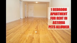 Studio Apartment Queens Nyc hmongbuy - studio apartment for rent in rego park, queens, nyc Studio Apartment Queens Nyc hmongbuy - studio apartment for rent in rego park, queens, nyc