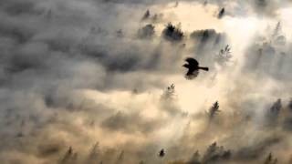 The The- Jealous of Youth