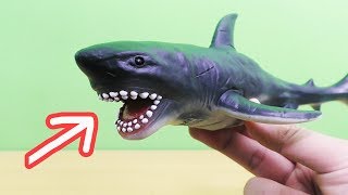 Download lagu 5 IKAN UNIK, MULTIFUNGSI,. LUCU, BERMANFAAT UNTUK SEHARI HARI mp3 Download lagu 5 IKAN UNIK, MULTIFUNGSI,. LUCU, BERMANFAAT UNTUK SEHARI HARI mp3