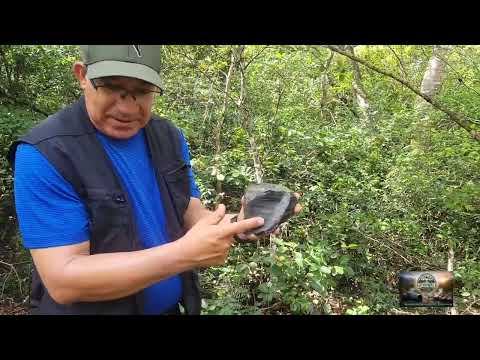 VOLCÁN IXTEPEQUE Y SUS YACIMIENTOS DE VIDRIO VOLCÁNICO.