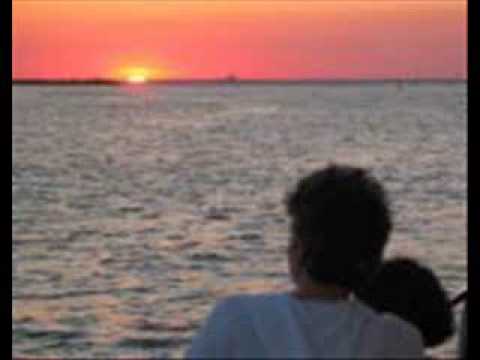 Velvet Glove -  Sweet was my rose