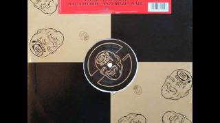 PAUL RAYNER Bert Vol I    Rhythm