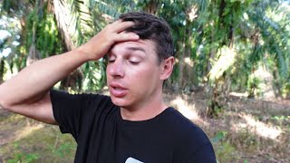 Simptomai nuo įkandimo | Kinija Indonezijoje | 2000KM !