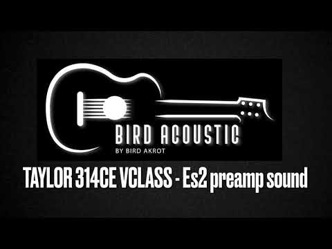Taylor 314ce Vclass || ES2 Preamp Sound (composed by Bird Akrot)
