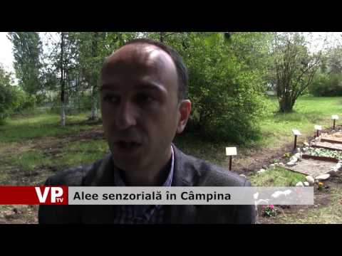 Alee senzorială în Câmpina