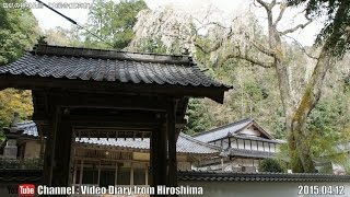 preview picture of video '広島の神社仏閣 大楽寺 2015.04.12 Hiroshima shrines and temples,Dairaku Temple,Miyoshi City,Hiroshima Pref'