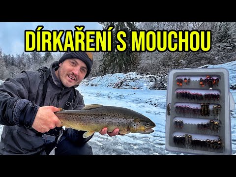 TOTO FUNGUJE NESKUTEČNĚ!🪰Chytli jsme velkého jesetera a spoustu opatrných krásných pstruhů.❄️🎣