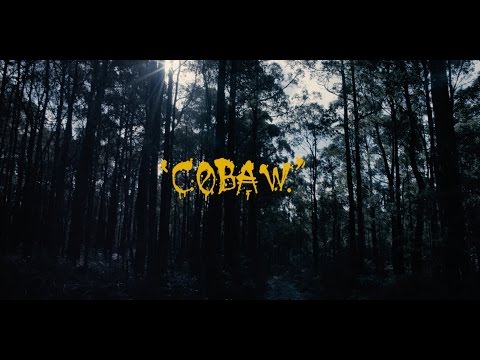 The Cactus Channel - Cobaw (Official Video)