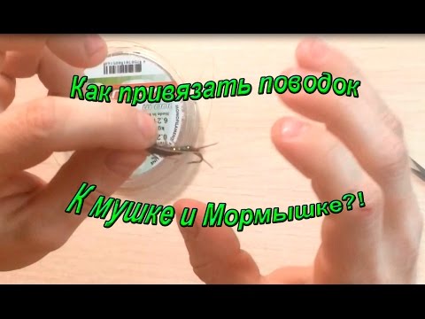 Сибирский Лов Интернет Магазин Павел Горохов Материалы