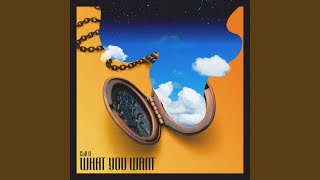 The Hilder - Call It What You Want video